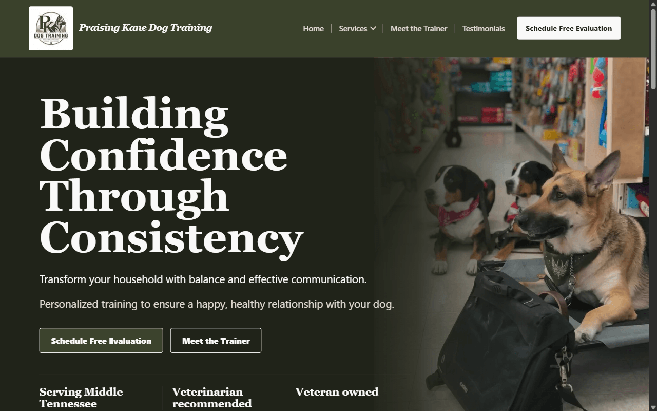 Screenshot of the Praising Kane website